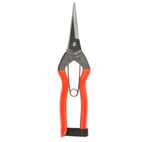 Garden Snips