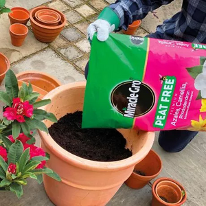 Miracle Gro Peat Free Ericaceous Compost