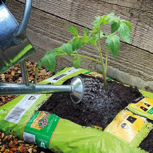Miracle Gro Peat Free Fruit and Veg Compost