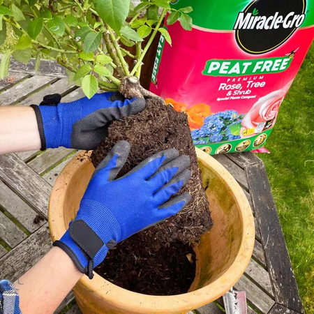 Miracle Gro Peat Free Fruit and Veg Compost