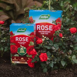 Rose Food 3kg